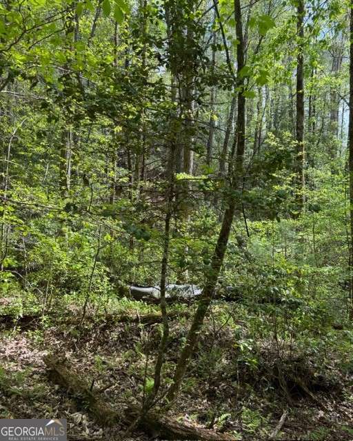 348 Hemlock Trail