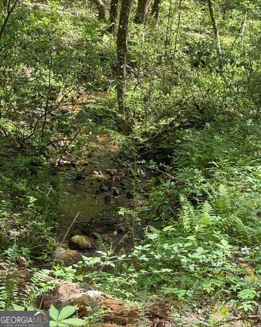 348 Hemlock Trail