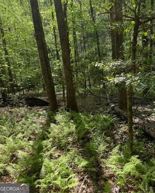 348 Hemlock Trail