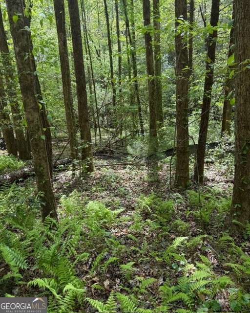 348 Hemlock Trail