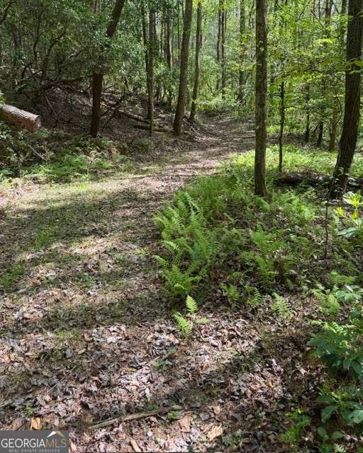 348 Hemlock Trail