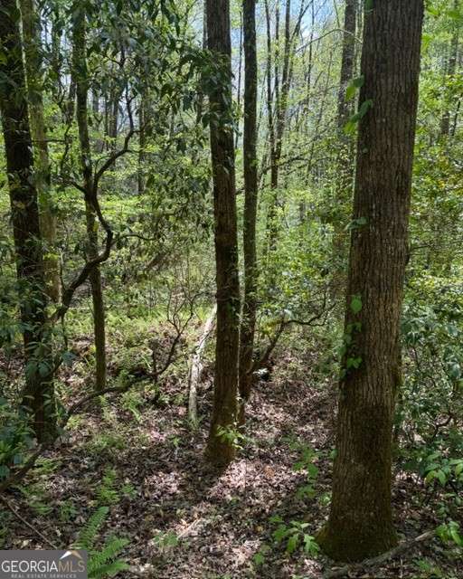 348 Hemlock Trail