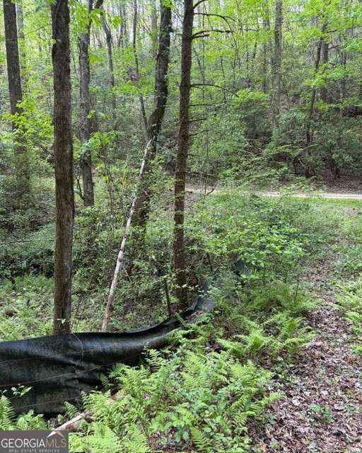 348 Hemlock Trail