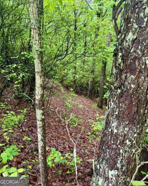 0 Soaring Hawk Trail