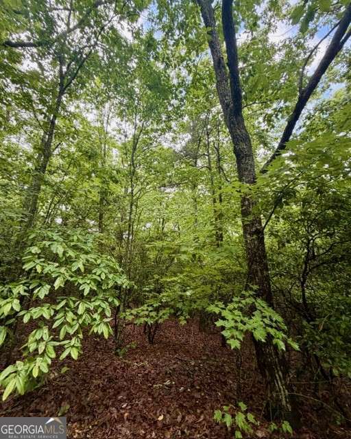 0 Soaring Hawk Trail