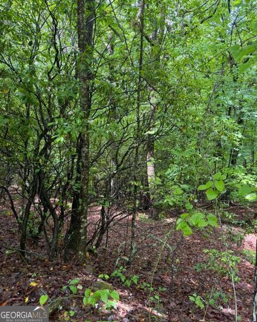 0 Soaring Hawk Trail