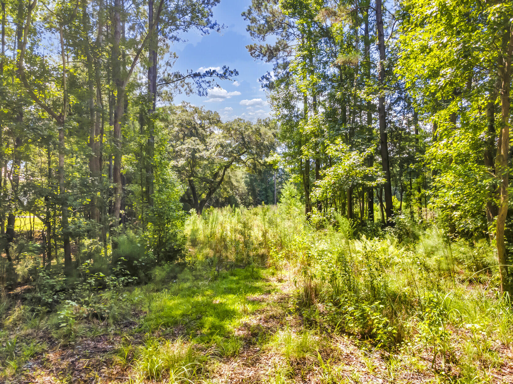 5979 Joseph Blake Lane