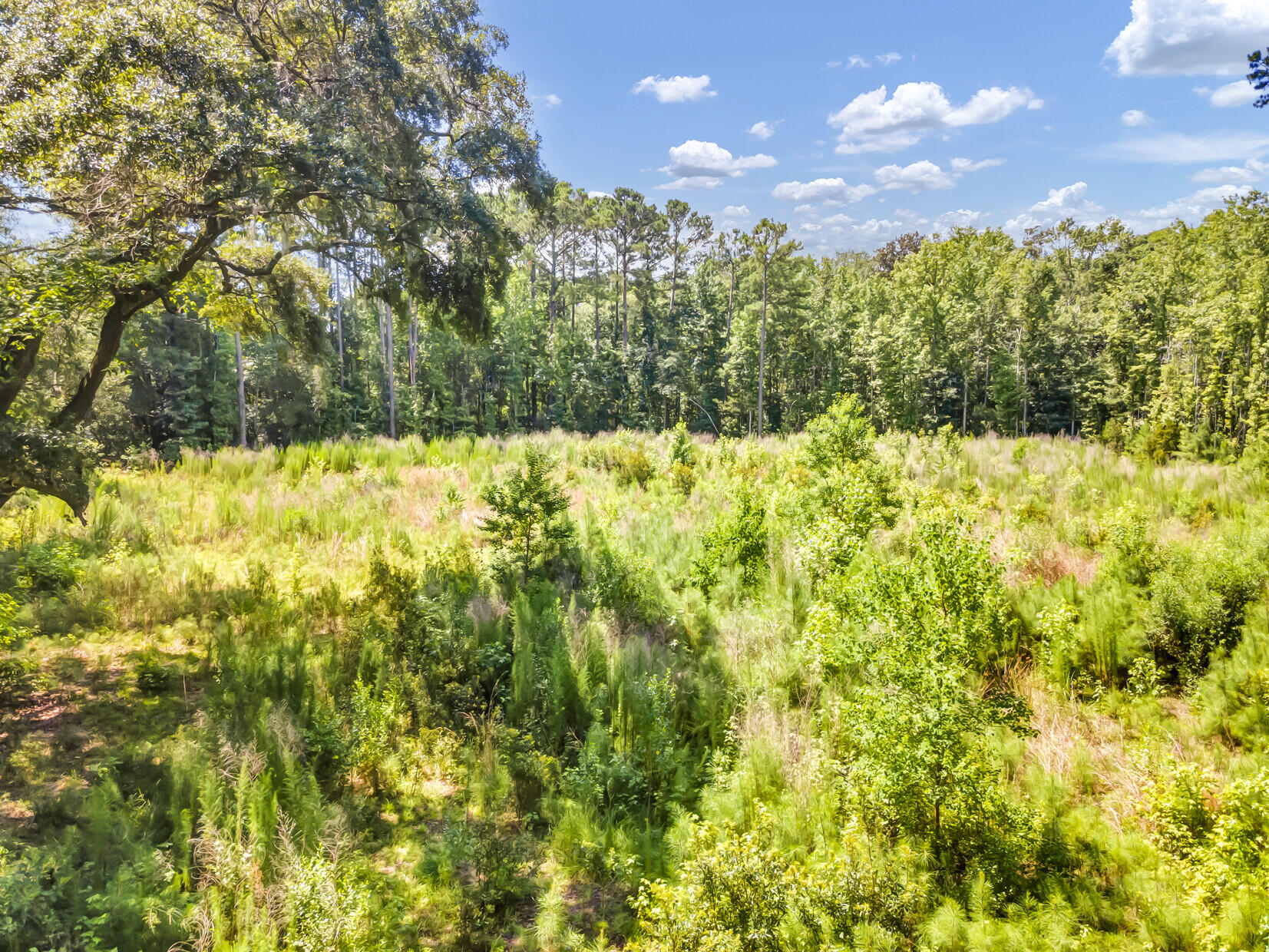 5979 Joseph Blake Lane