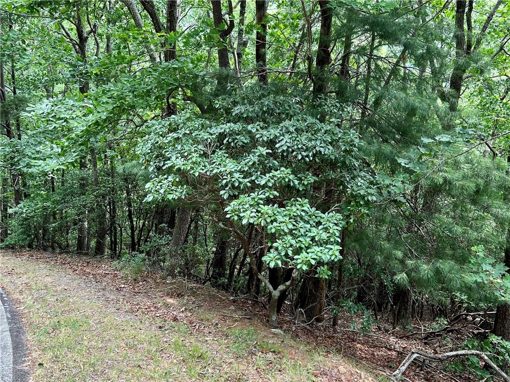 Lt1167 Moonshine Bend