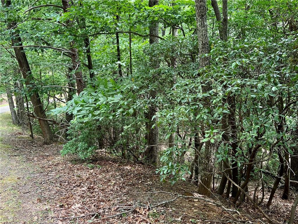 Lt1167 Moonshine Bend
