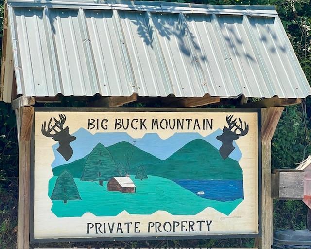 2501 Brushy Top Road