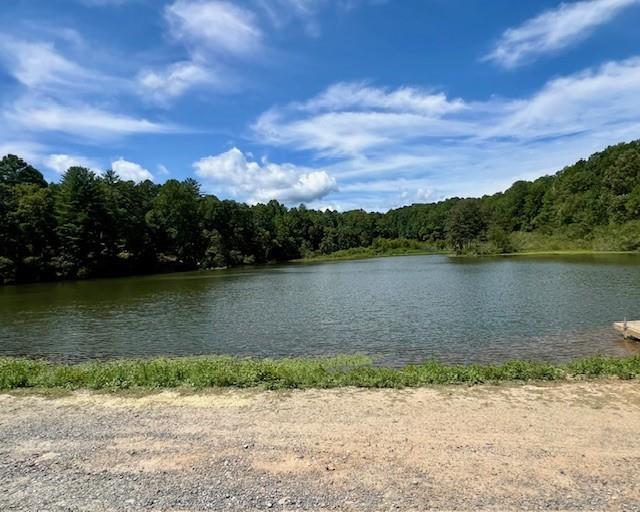 2501 Brushy Top Road
