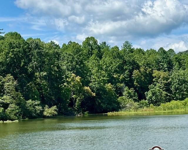 2501 Brushy Top Road