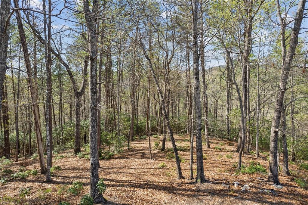 0 Crumley Creek Rd