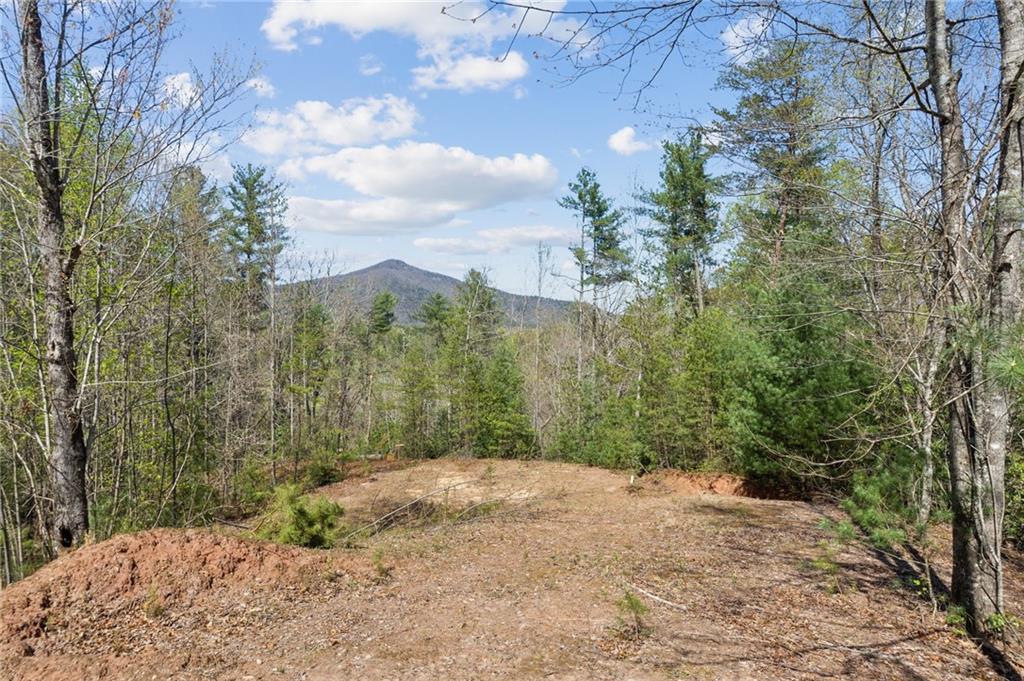 0 Crumley Creek Rd