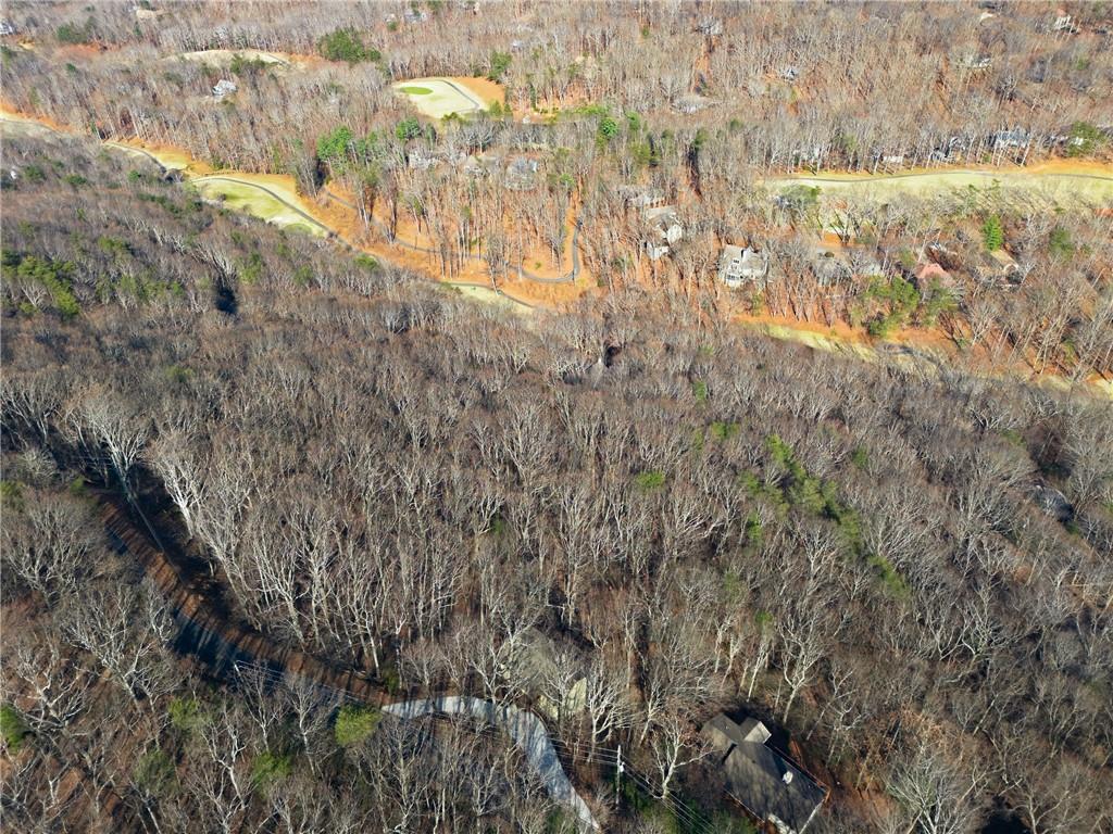 Aerial view of wooded homes and winding roads among leafless trees.