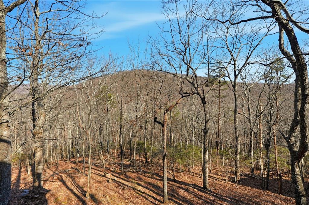 Wooded hillside and distant ridge beyond leaf-covered ground and leafless trees.