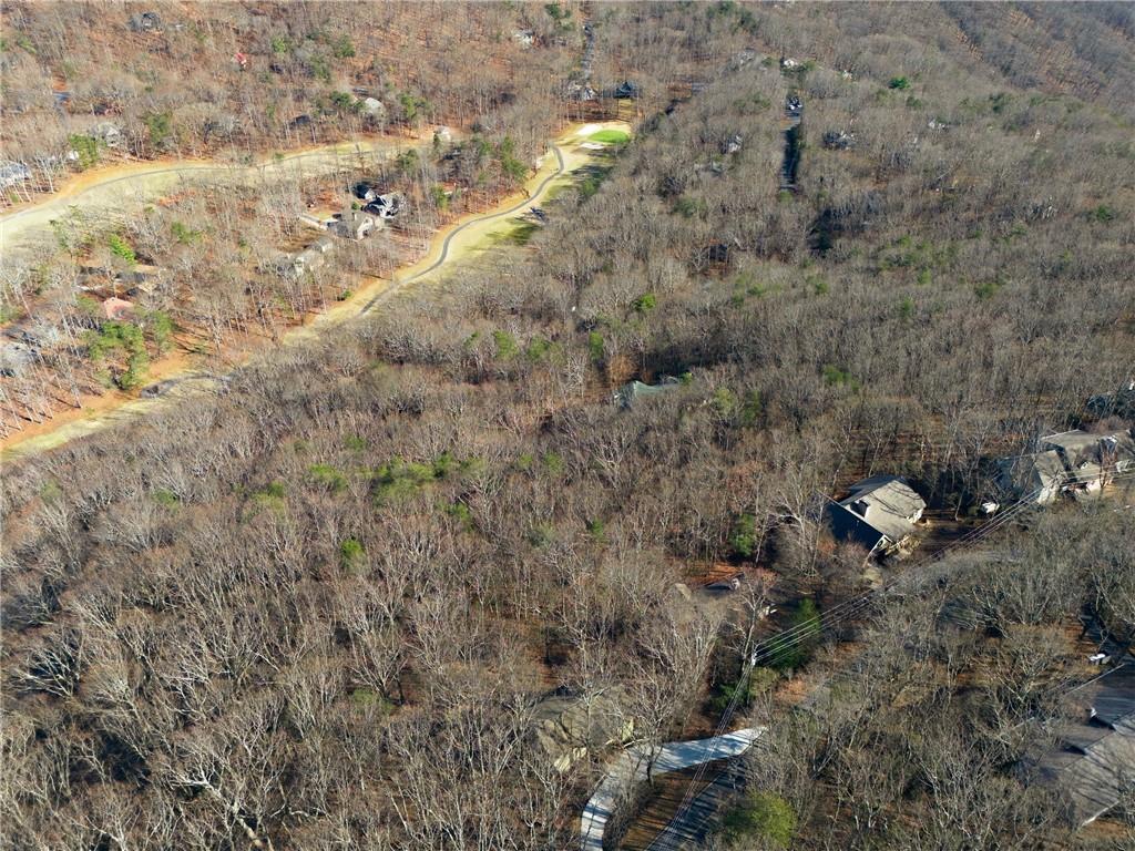 Aerial view of a wooded property surrounded by bare trees, neighboring homes, and a winding road.