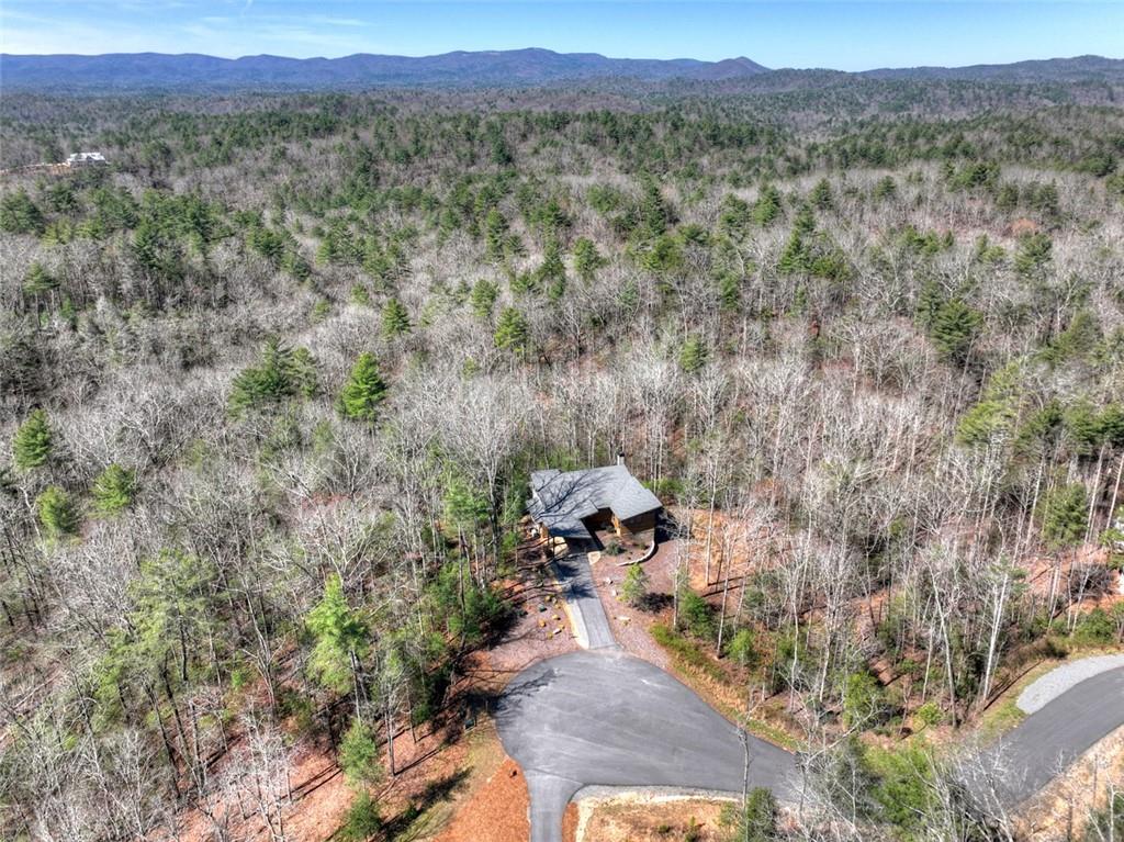 466 E Watersong Bluff