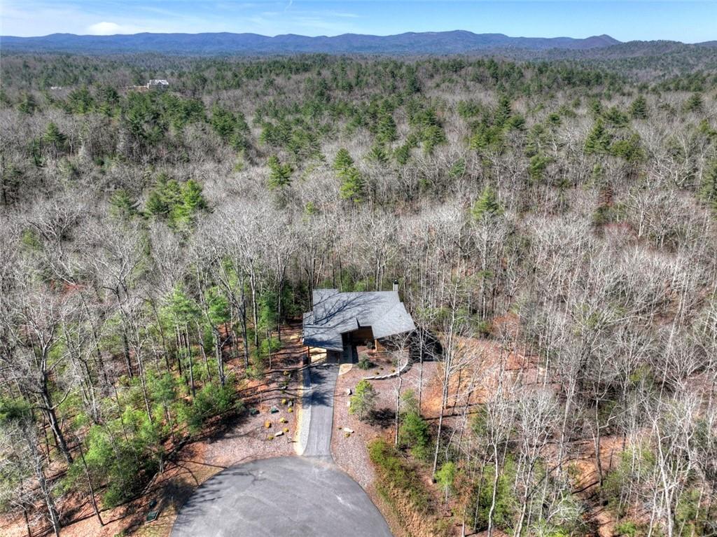 466 E Watersong Bluff