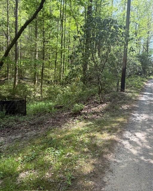 Wooded roadside lot beside a gravel road, with a utility pole and partially visible mailbox.