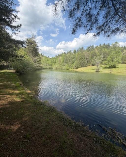 Pond with a grassy, tree-lined shoreline and rippling water.