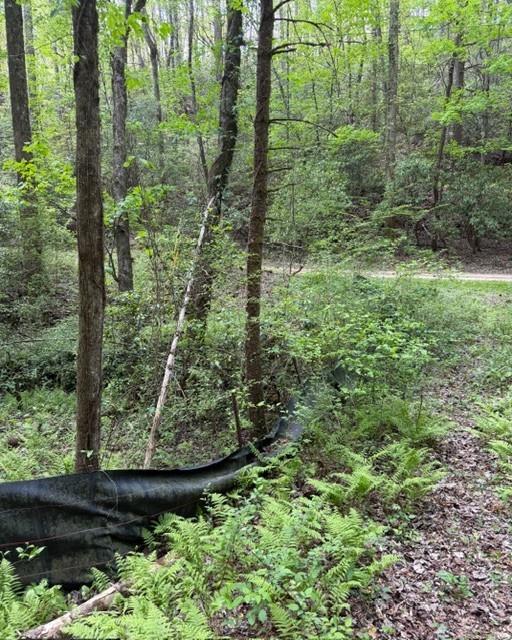 Wooded property lot with a cleared path and black erosion-control fencing.