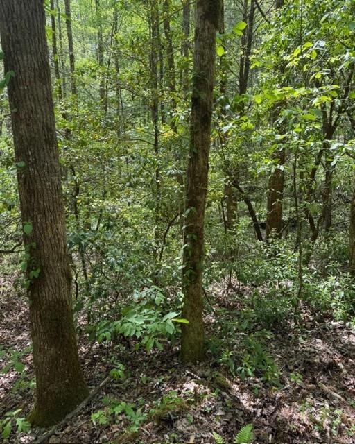 Wooded property with mature trees and dense green understory.