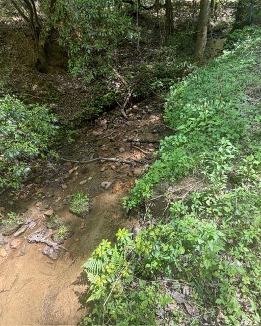 A shallow rocky creek winds through dense green woodland.