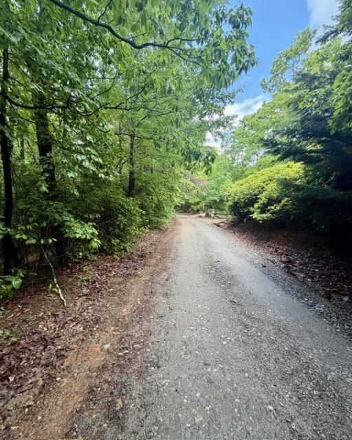00 Soaring Hawk Trail