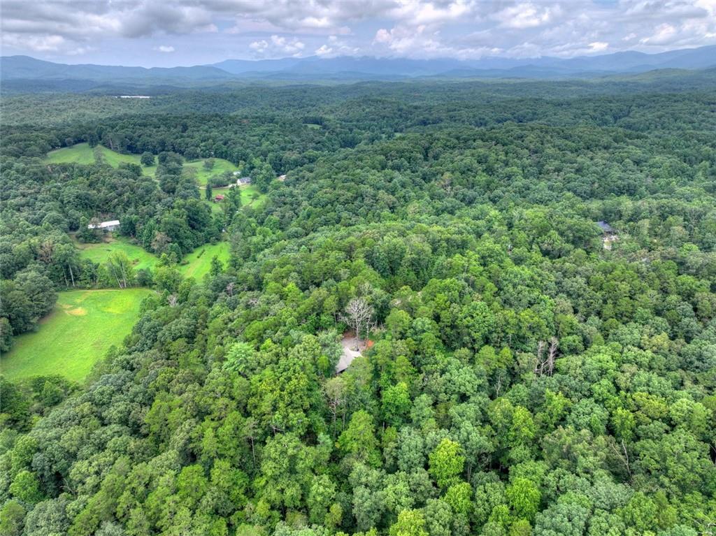 232 Ridge Oaks Way