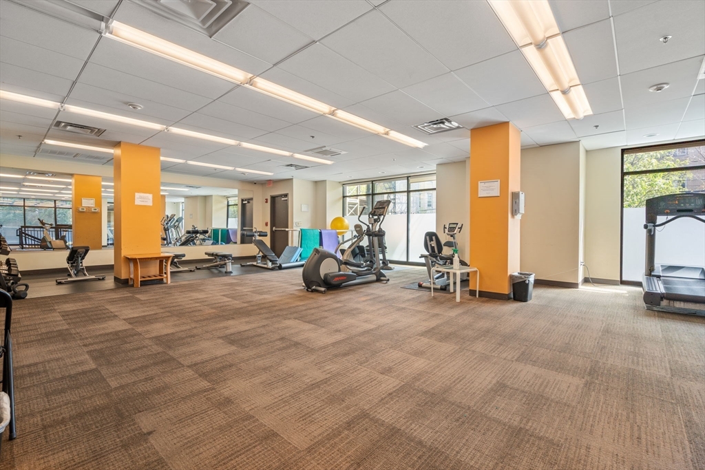 50 Longwood Ave # 214