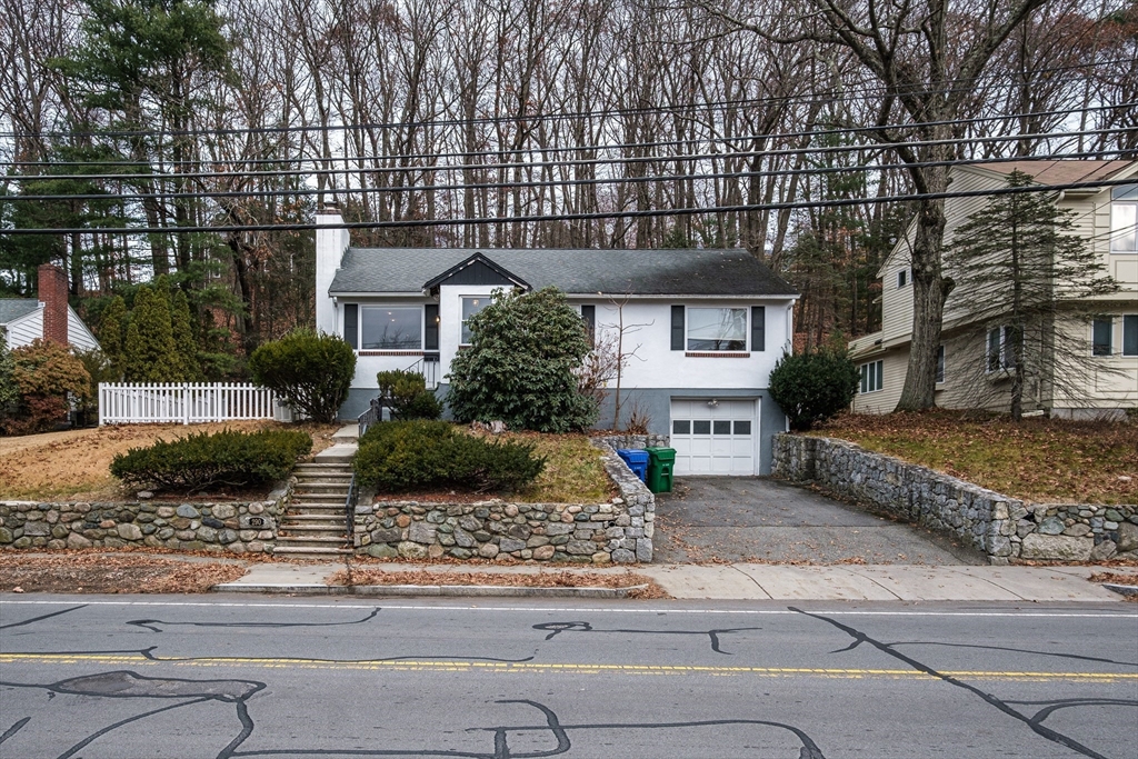 290 Winchester St