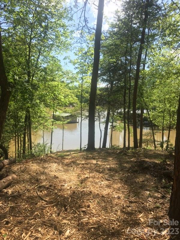 16038 River Tree Lane