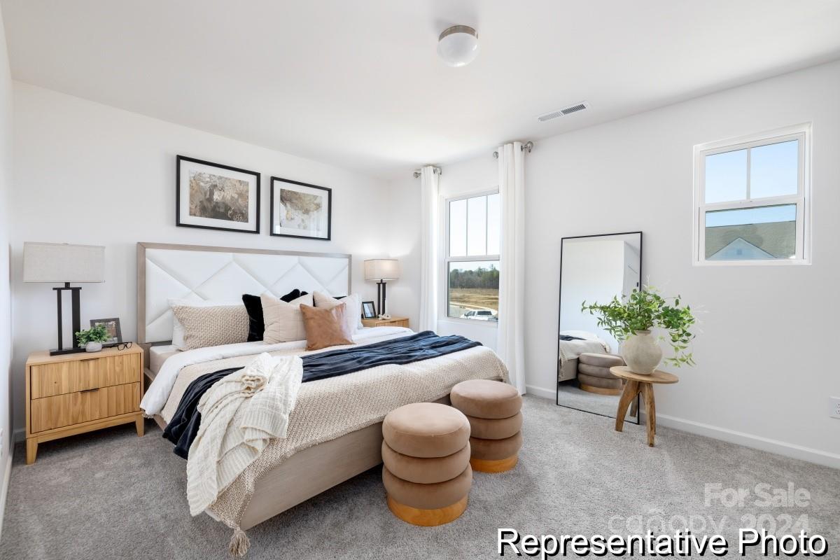 4160 Claret Cup Drive Unit: 38