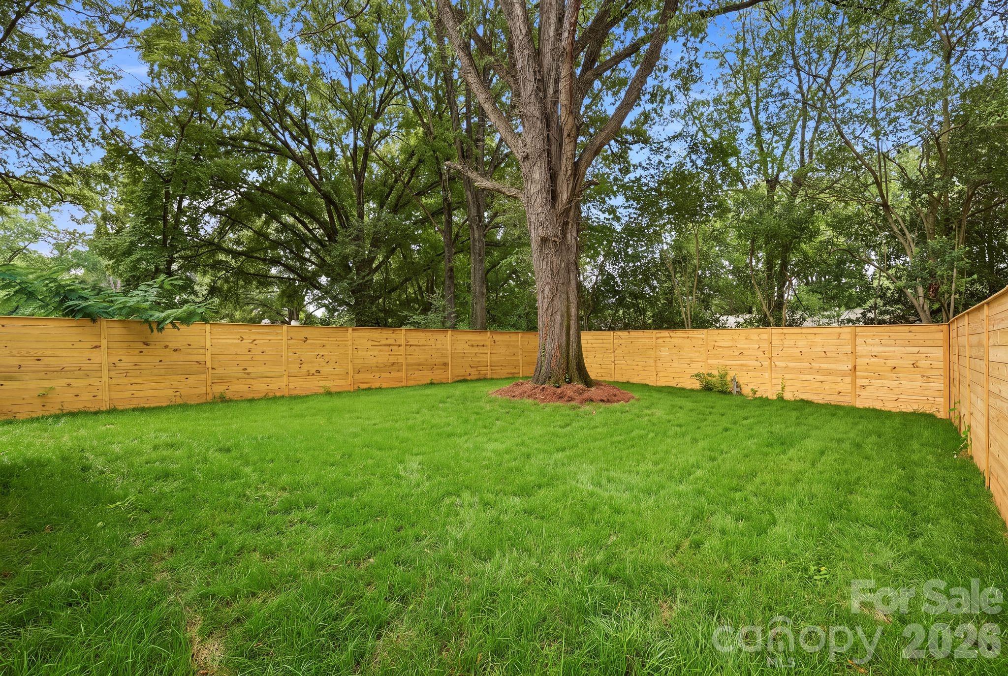 Fenced backyard with a green lawn, mature trees, and a large central shade tree.
