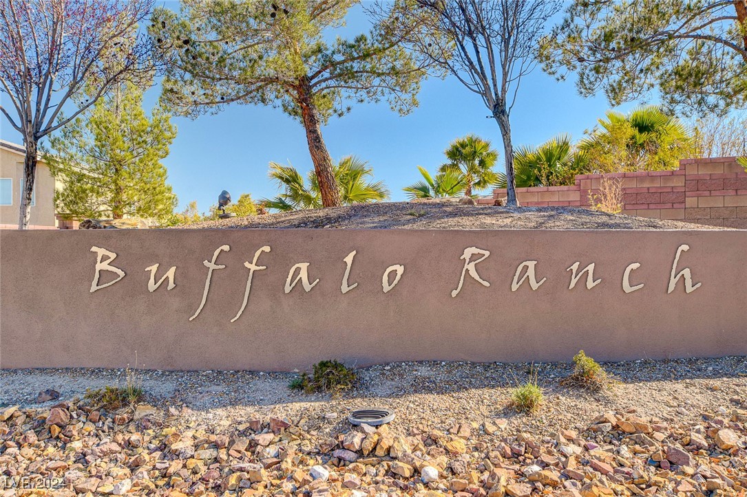 8333 Saddleback Ledge Avenue