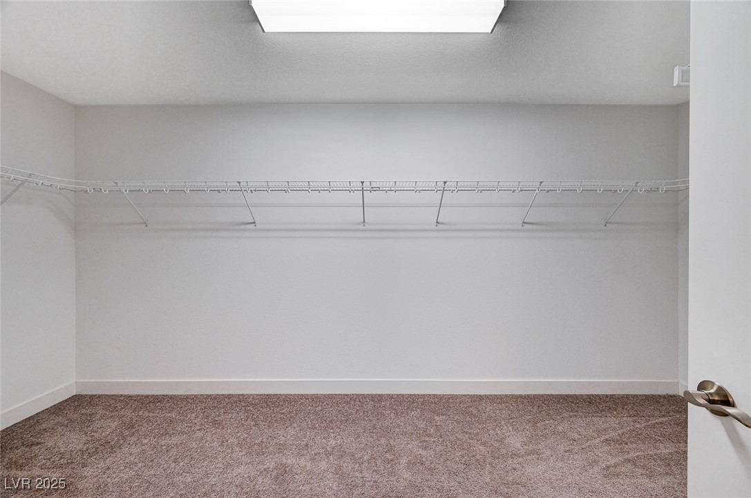 8731 Black Cordon Road