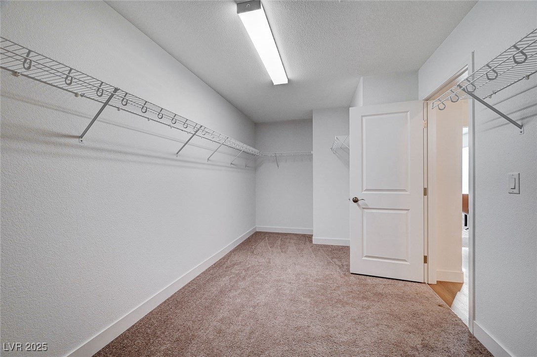 8731 Black Cordon Road