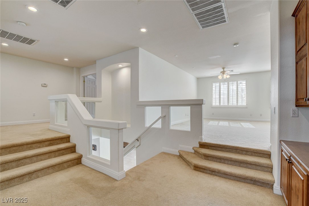 7619 Belgian Lion Street