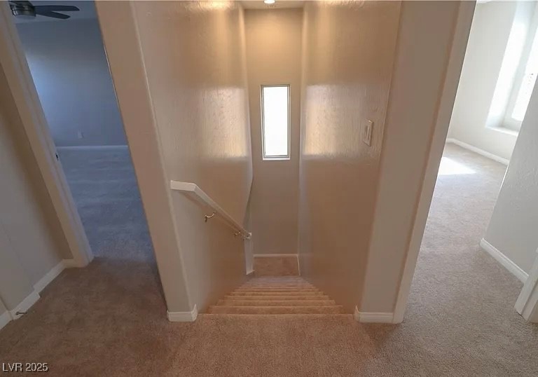 242 Botanic Gardens Drive