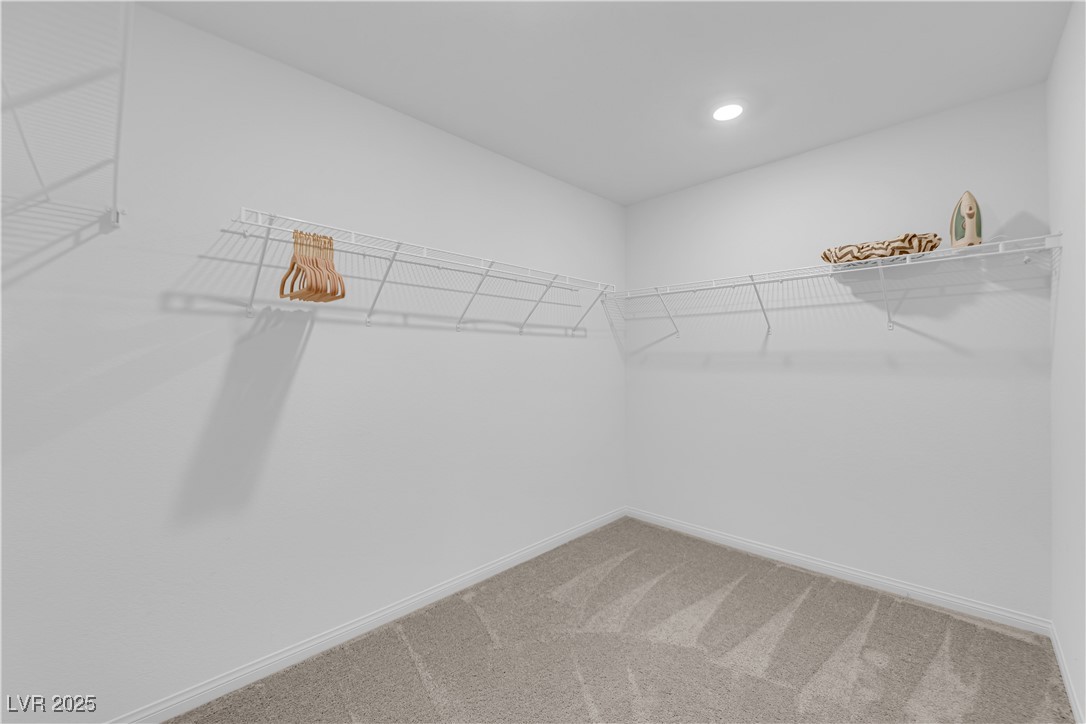 8241 Lantana Springs Street