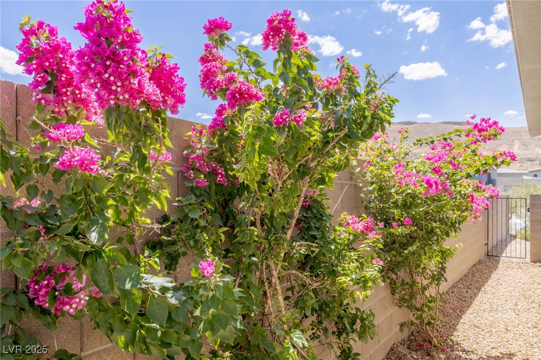 5192 Rock Daisy Drive