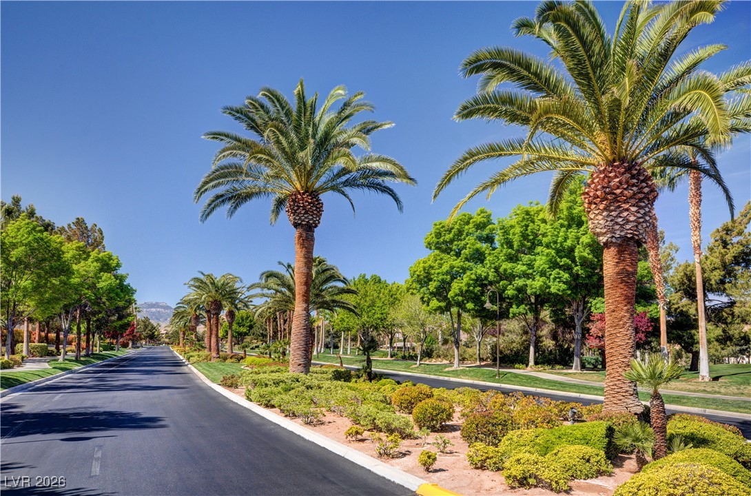 62 Crooked Putter Drive