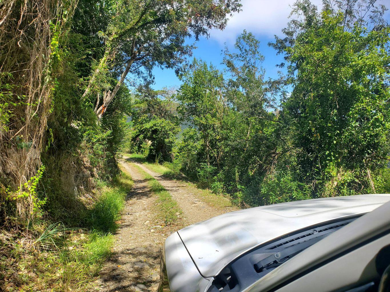 10-26-2 Carolina, St John