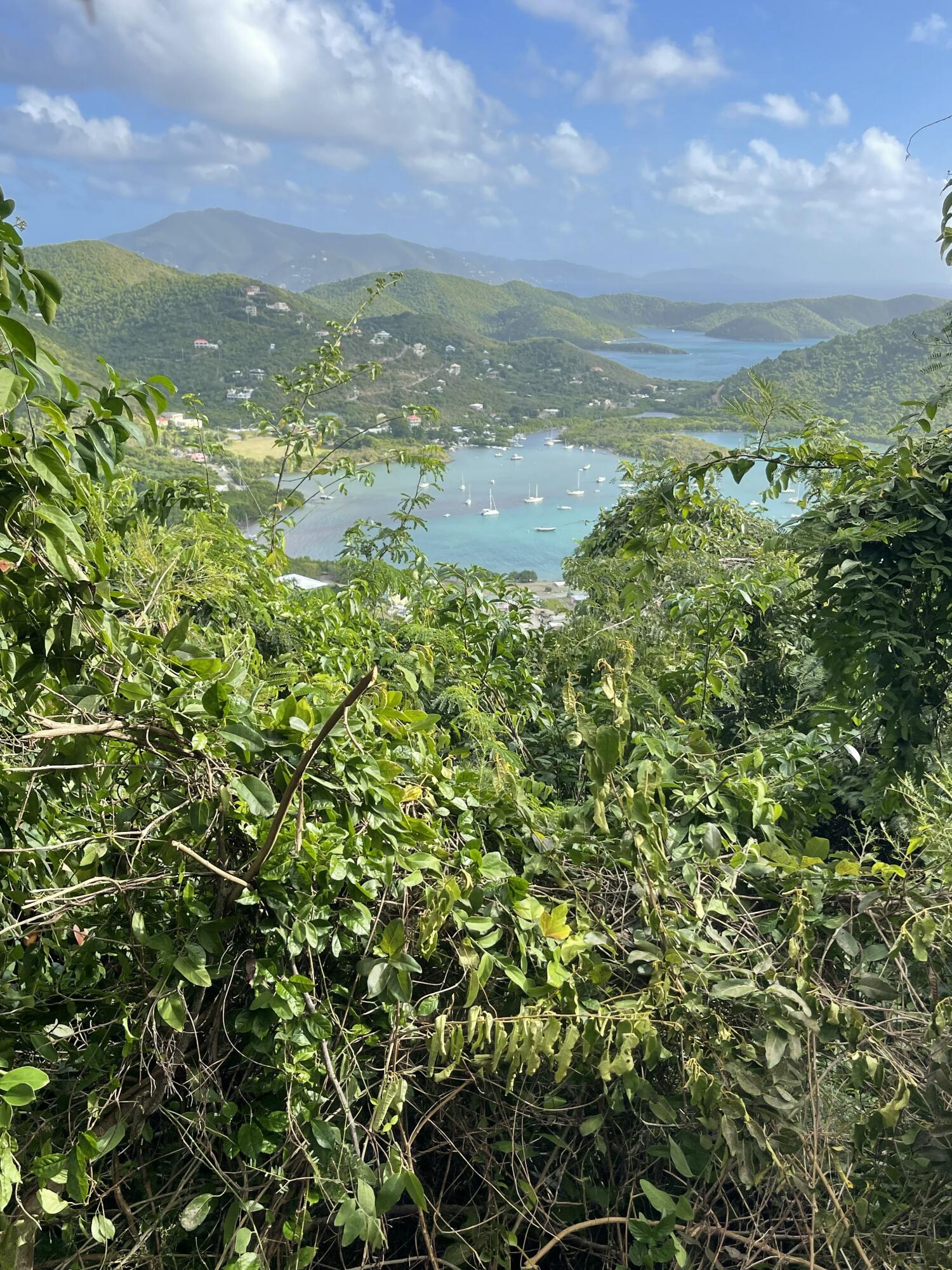 10-26-2&3 Carolina, St John