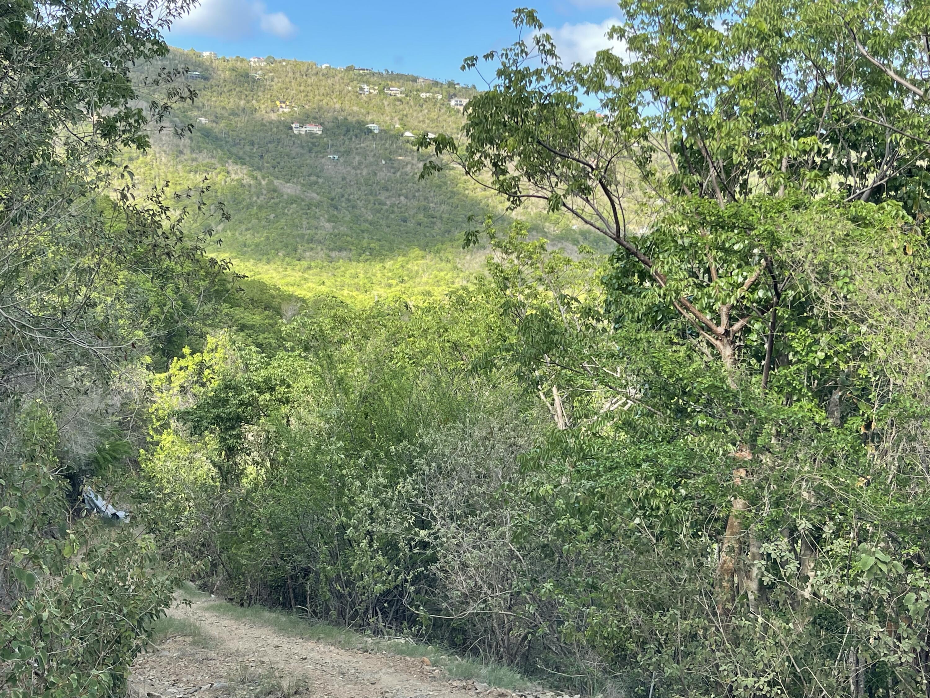 9-15-1 Carolina, St John
