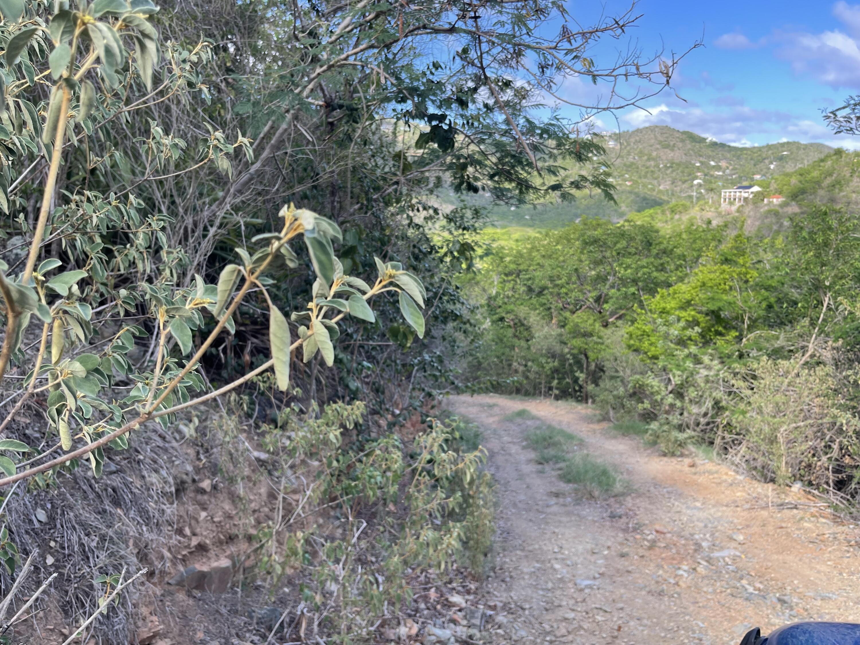 9-15-1 Carolina, St John