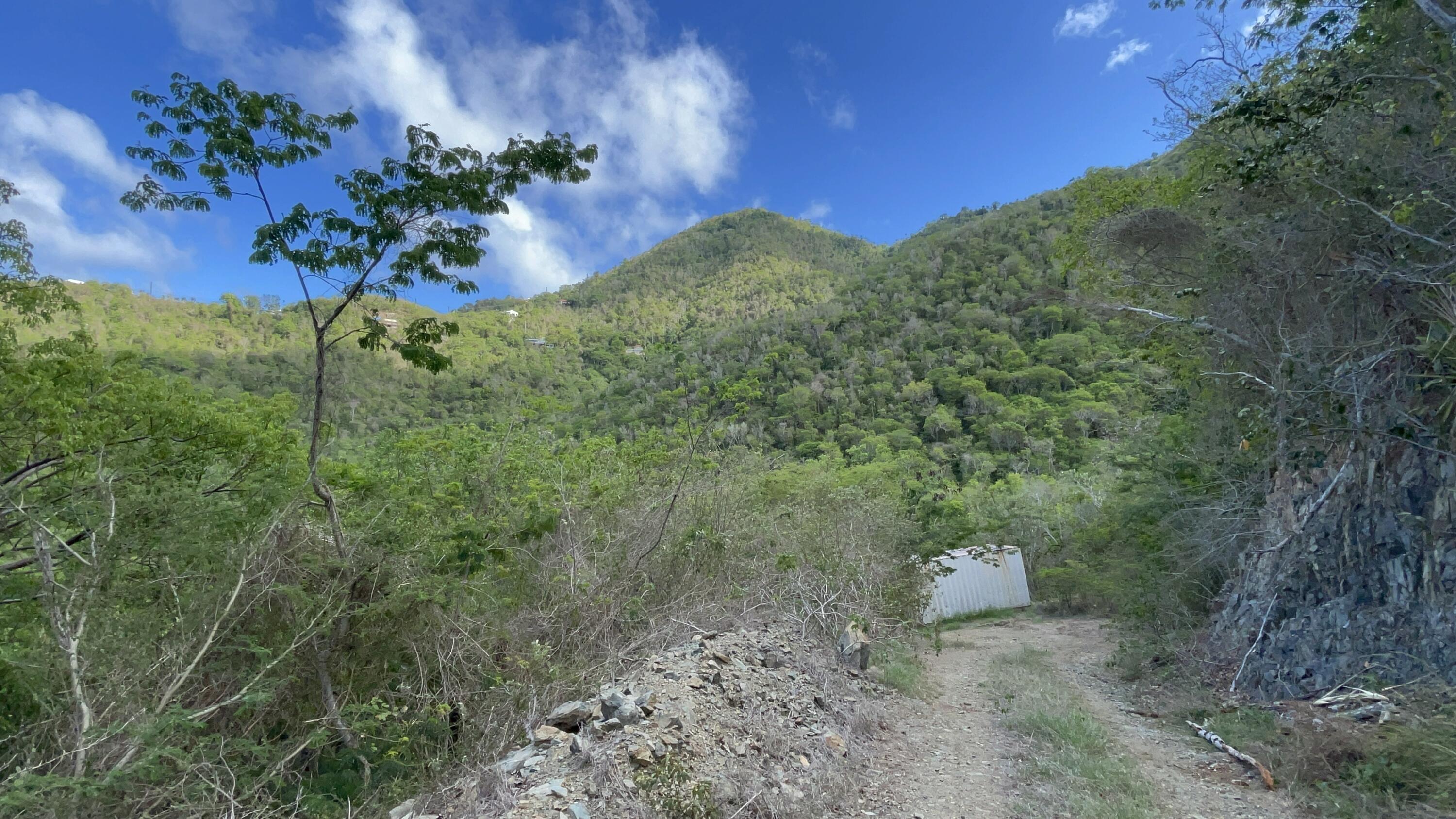 9-15-1 Carolina, St John