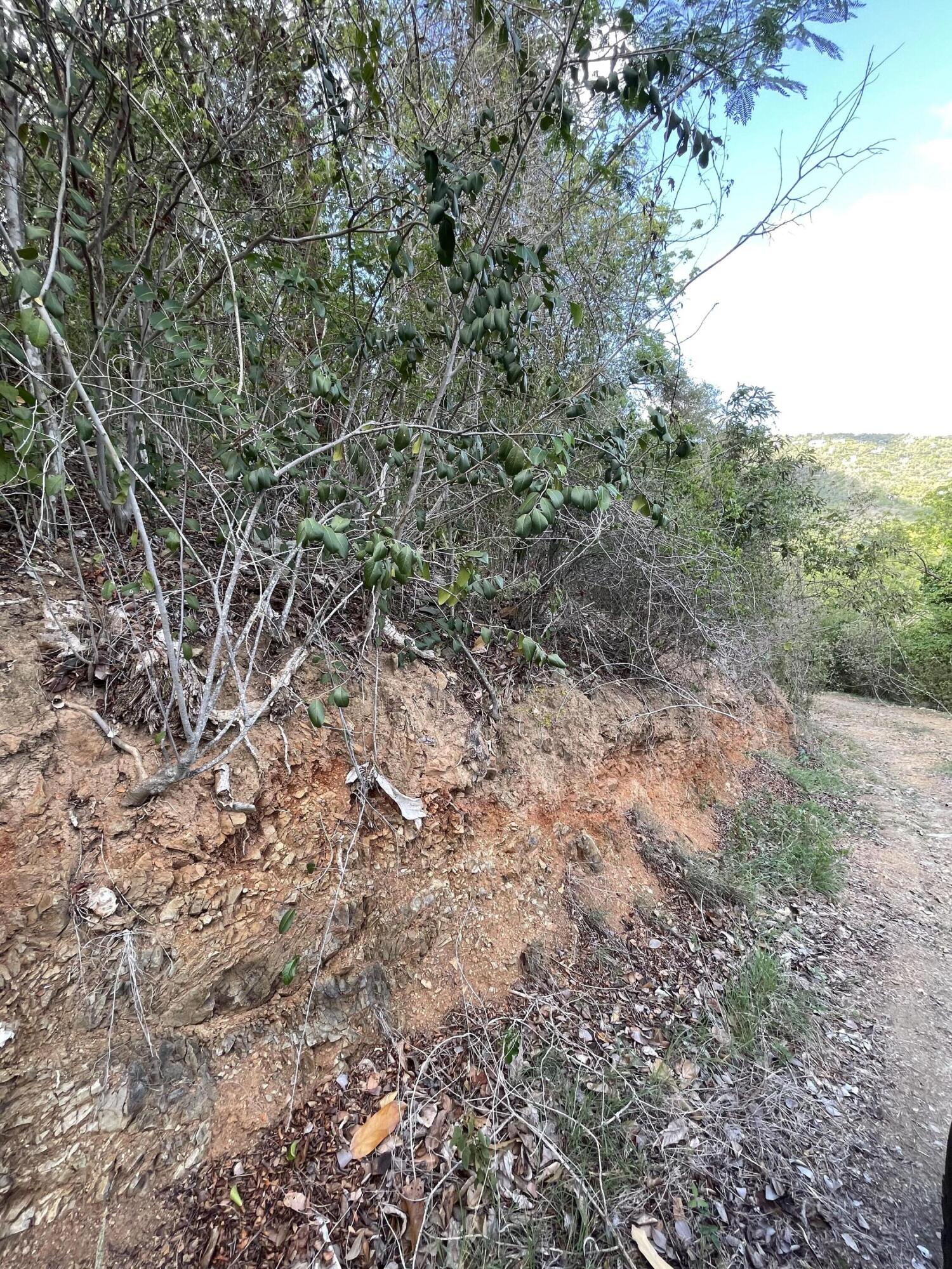 9-15-1 Carolina, St John